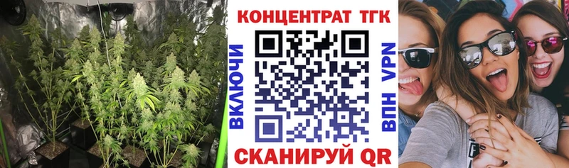 где купить наркоту  Динская  ТГК Wax 