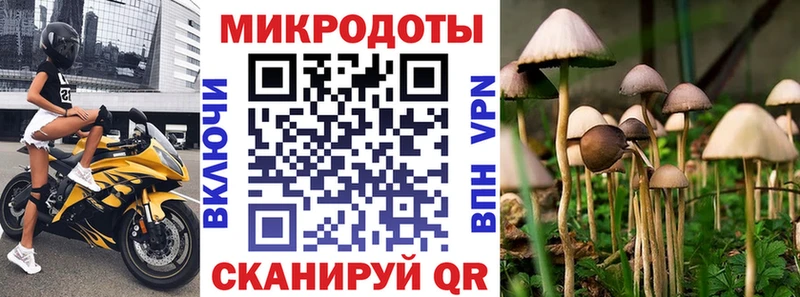 Галлюциногенные грибы Cubensis  Динская 